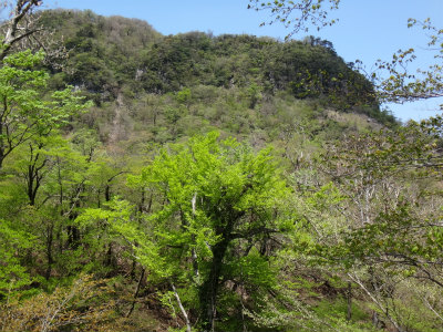 d0182075_43182.jpg