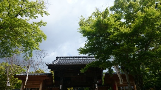 b0224776_17543220.jpeg