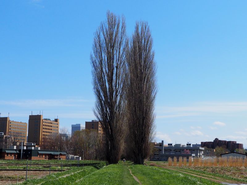 c0183777_6534824.jpg