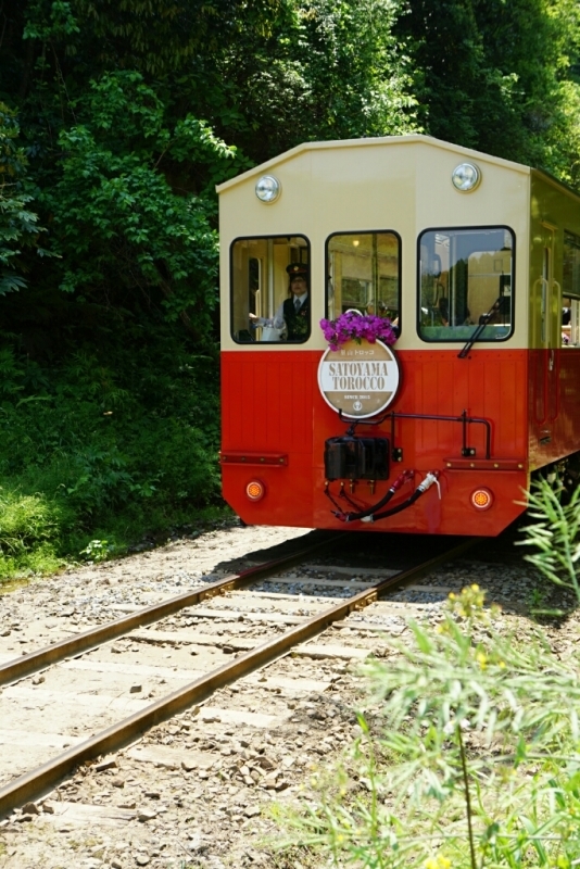 小湊鉄道、いすみ鉄道(その2)_d0341483_05392462.jpg