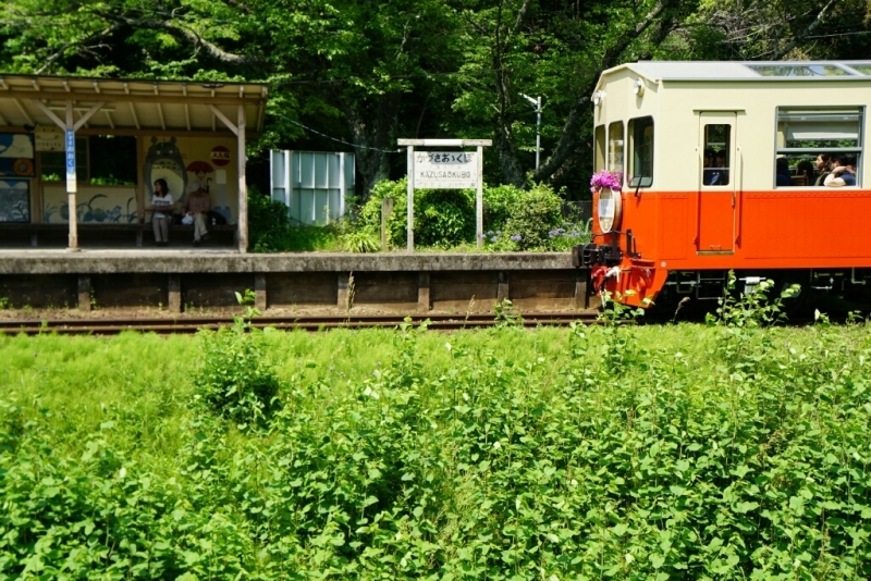 小湊鉄道、いすみ鉄道(その2)_d0341483_05393019.jpg