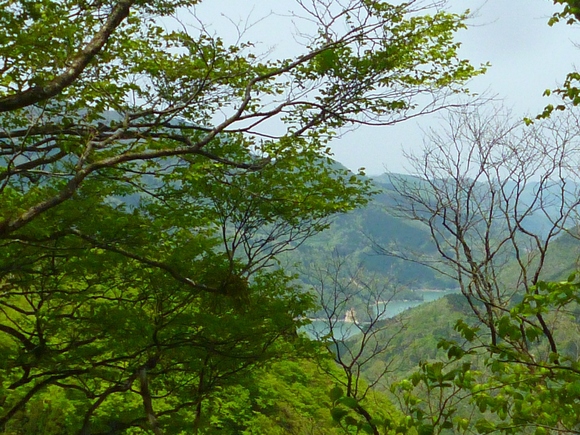 e0355083_18224147.jpg