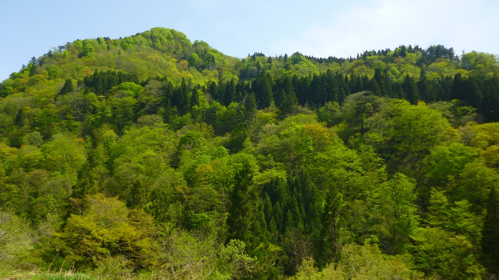 e0355083_18232066.jpg