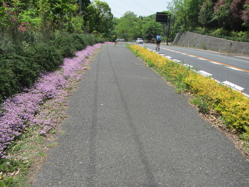 a0251786_203536.jpg