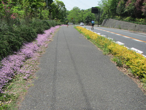 今年初の夏日に_a0251786_203536.jpg