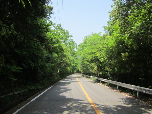 a0251786_2052478.jpg