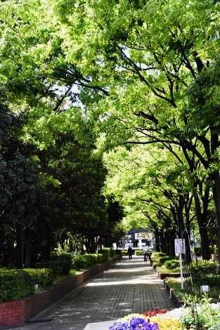 b0329186_07262867.jpg
