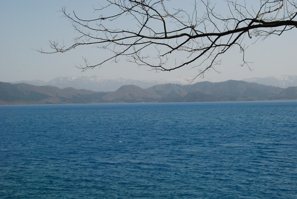 d0153294_1564164.jpg