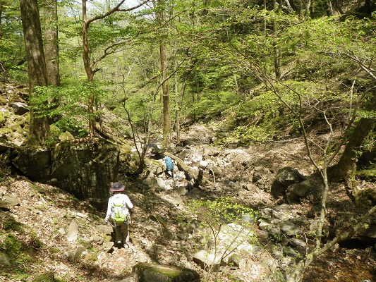 f0187402_20291293.jpg