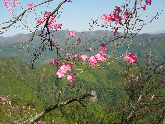 f0187402_9455846.jpg
