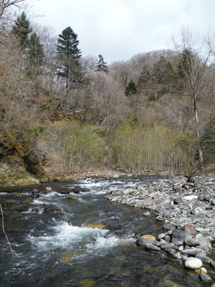 b0172805_1071457.jpg