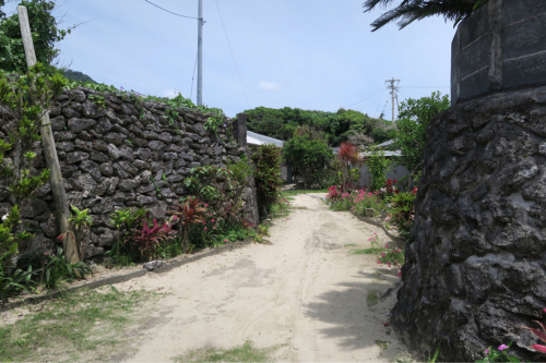 d0147406_16105737.jpg