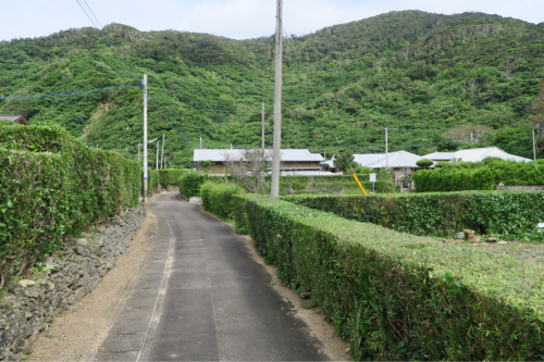 d0147406_19105235.jpg