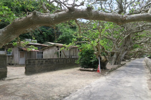 d0147406_19243711.jpg
