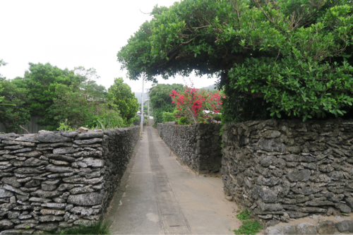 d0147406_21591879.jpg