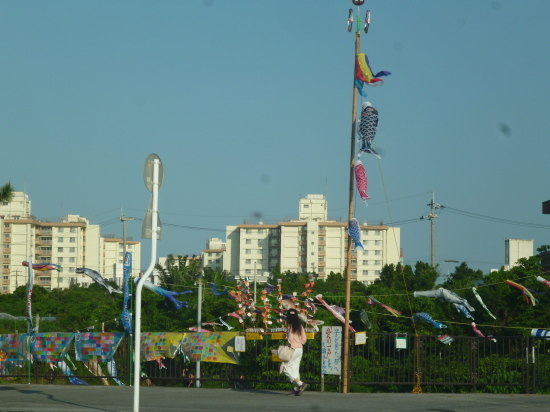 d0163307_16403153.jpg