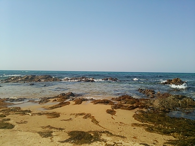 d0206007_10565100.jpg