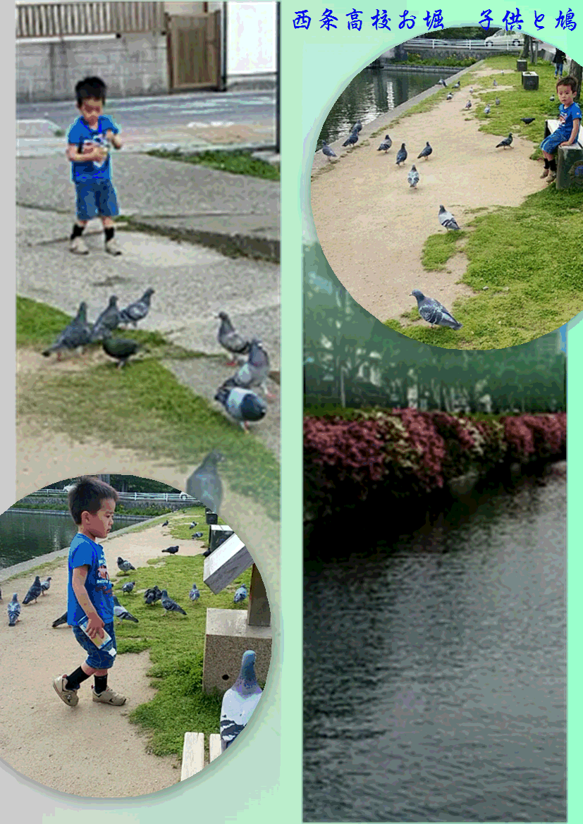 f0231709_1053410.gif