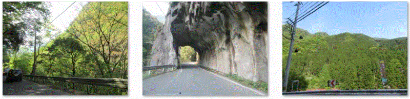 f0231709_11103820.gif