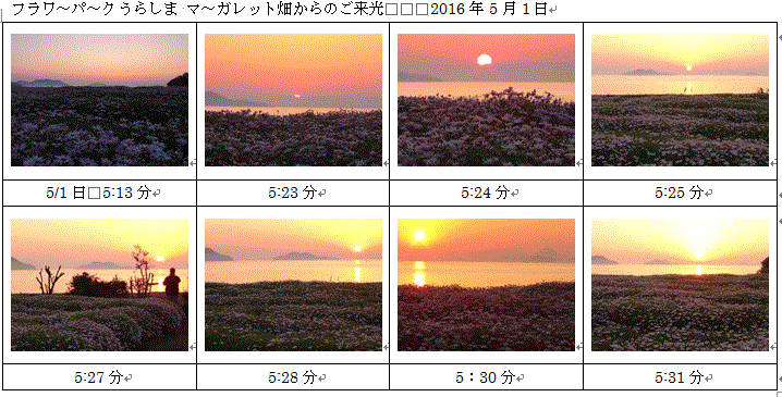 『フラワーパーク浦島』のマーガレット日本一…2016/5/1_f0231709_1263880.gif