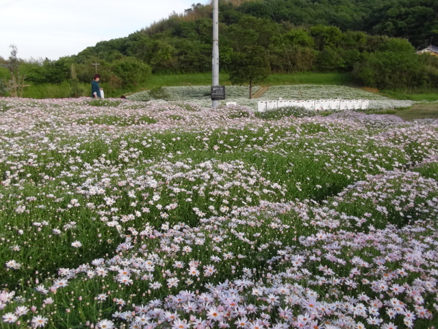 f0231709_1391194.jpg