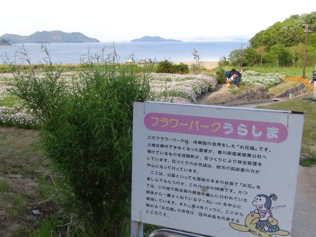 f0231709_1575155.jpg
