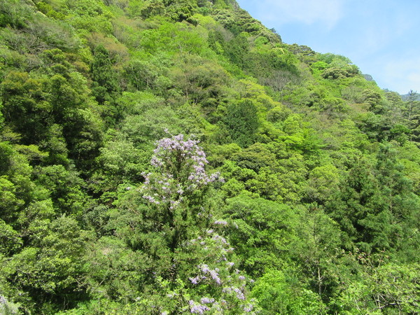 f0231709_9212659.jpg