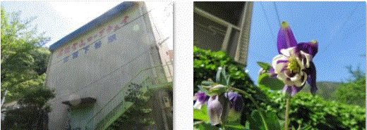 f0231709_9452616.gif
