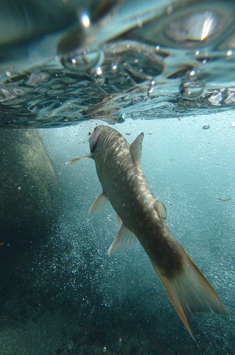 a0335310_02124445.jpg