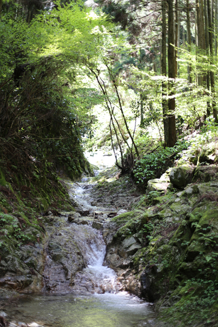 e0077010_13278100.jpg