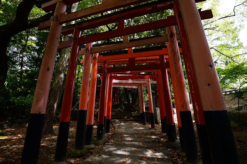 一初@上御霊神社_f0032011_19313475.jpg