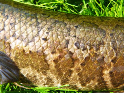 a0236914_13541964.jpg