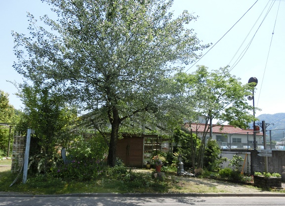 b0181818_10425080.jpg