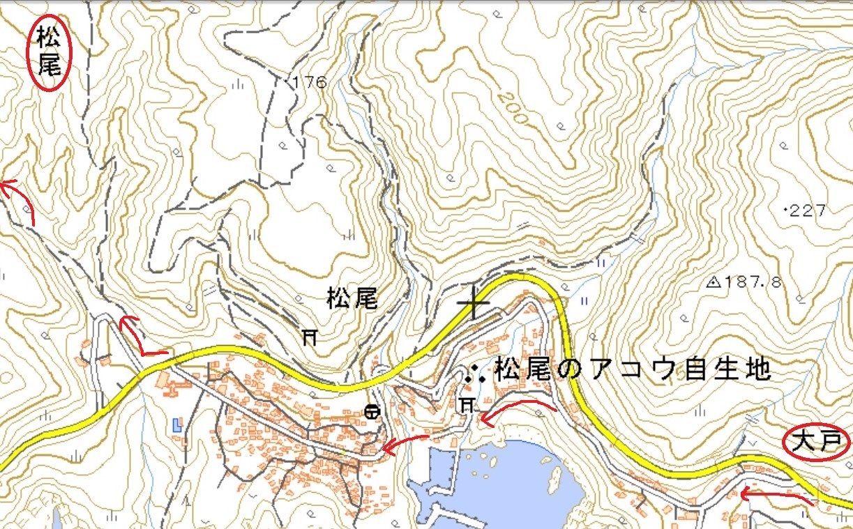 b0309623_11304305.jpg