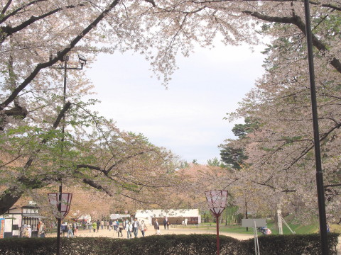 b0147224_23524288.jpg
