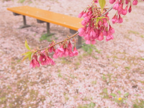 b0147224_2359178.jpg