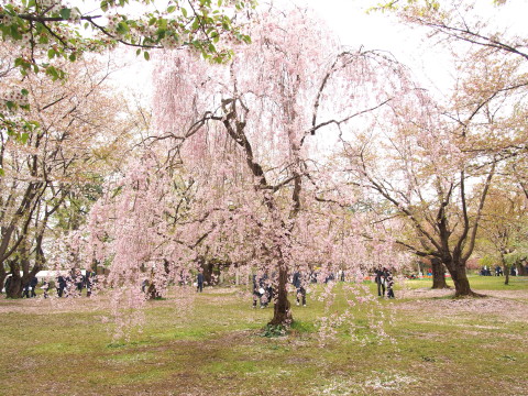 b0147224_23591924.jpg