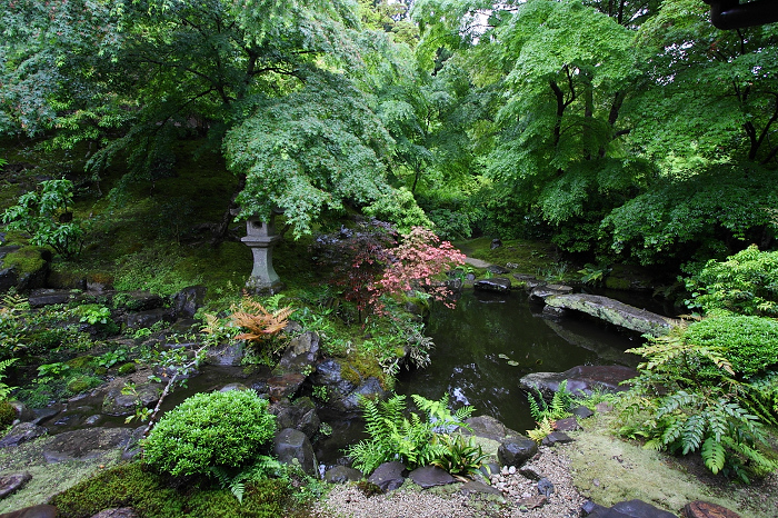 新緑のお寺 －瑠璃光院－ _b0169330_7142438.jpg