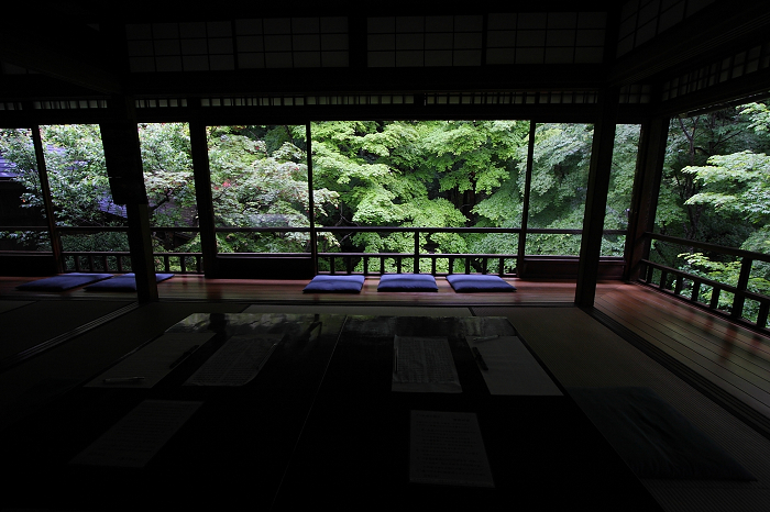 新緑のお寺 －瑠璃光院－ _b0169330_716216.jpg