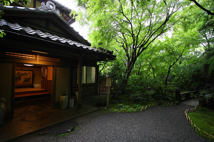 新緑のお寺 －瑠璃光院－ _b0169330_7164083.jpg