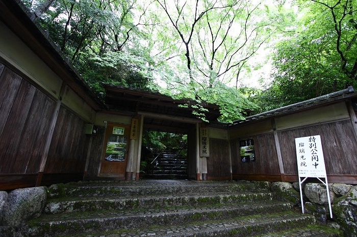 新緑のお寺 －瑠璃光院－ _b0169330_7172356.jpg