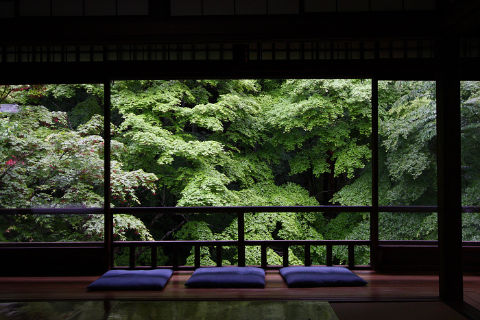 新緑のお寺 －瑠璃光院－ _b0169330_75789.jpg