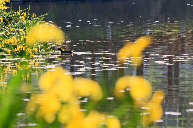 a0242438_18553757.jpg