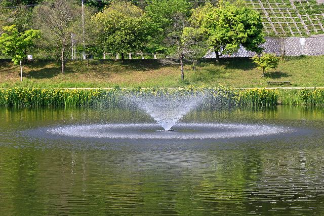 a0242438_1856634.jpg