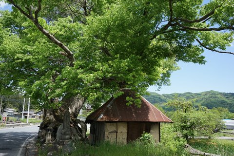 疫神社_c0026142_1062293.jpg