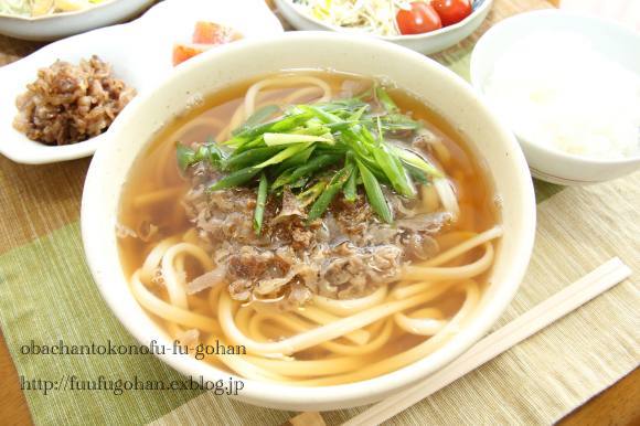 肉うどん御膳ブランチ＆ビューンと琵琶湖_c0326245_11454881.jpg