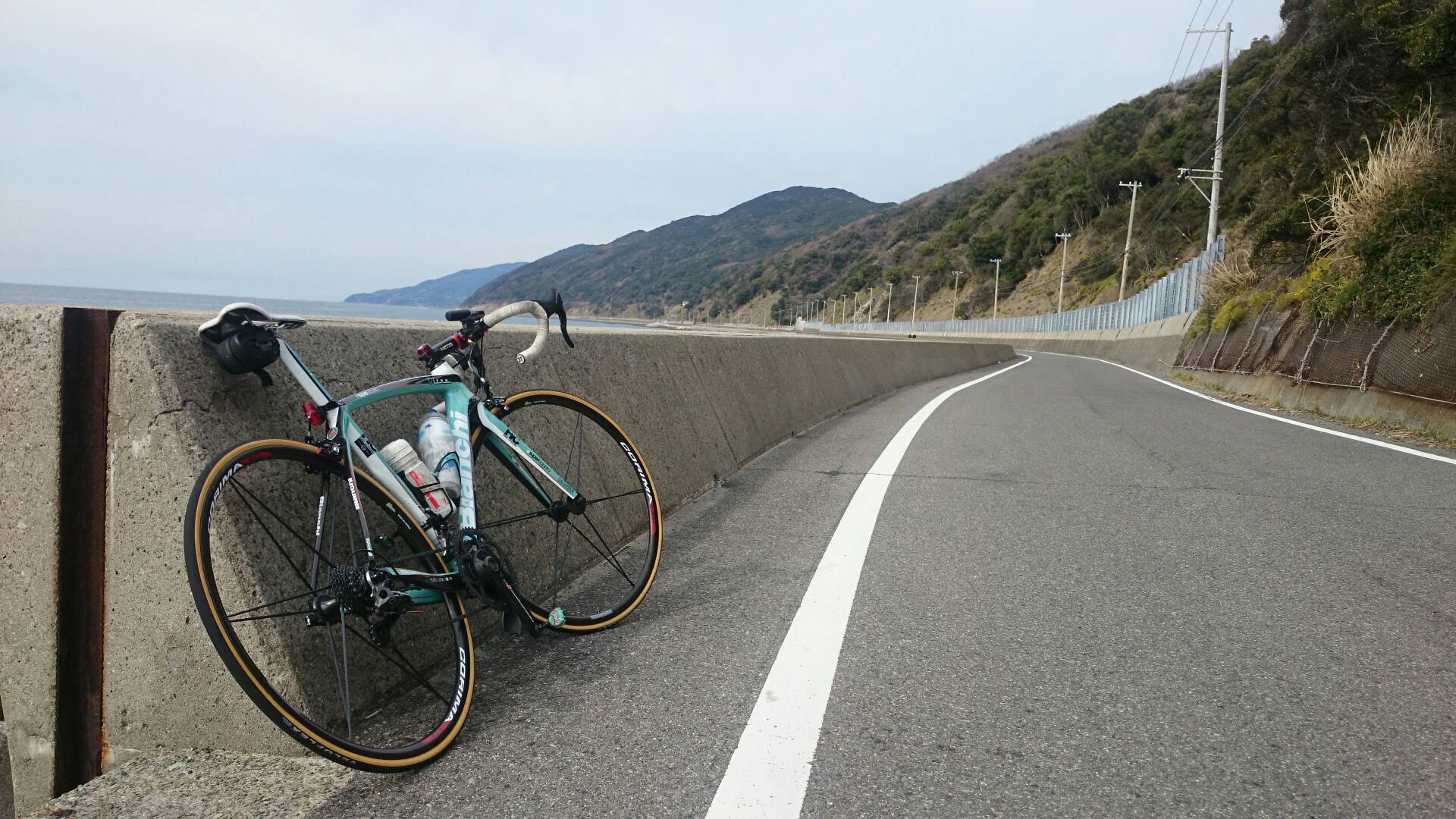Corima いいえ バッタモンです W 住友輪業の業務日報 Corima いいえ バッタモンです W 住友輪業の業務日報