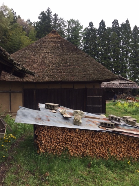 鈴木照雄展 : THUNDER