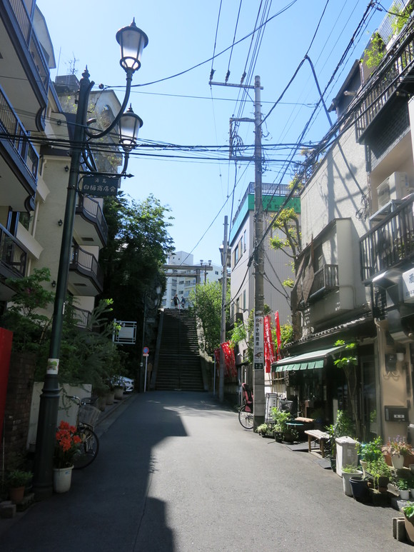 f0054556_11411484.jpg
