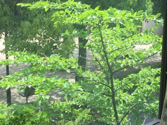 b0181457_10415632.jpg
